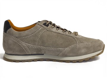 Bugatti 331-ARX03-1400 5200